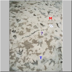 100_1533 (2009-07-27s)m-lab.jpg